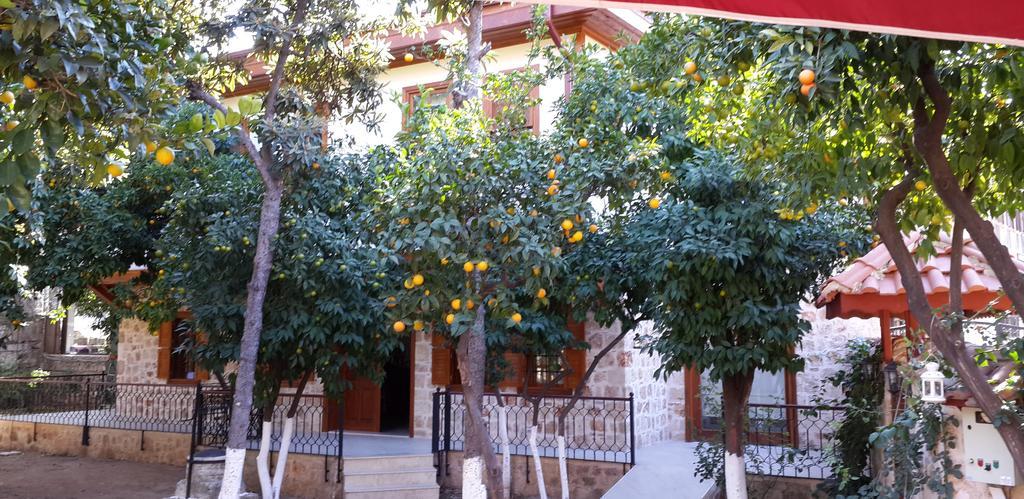 Hotel Citrus Garden 3*