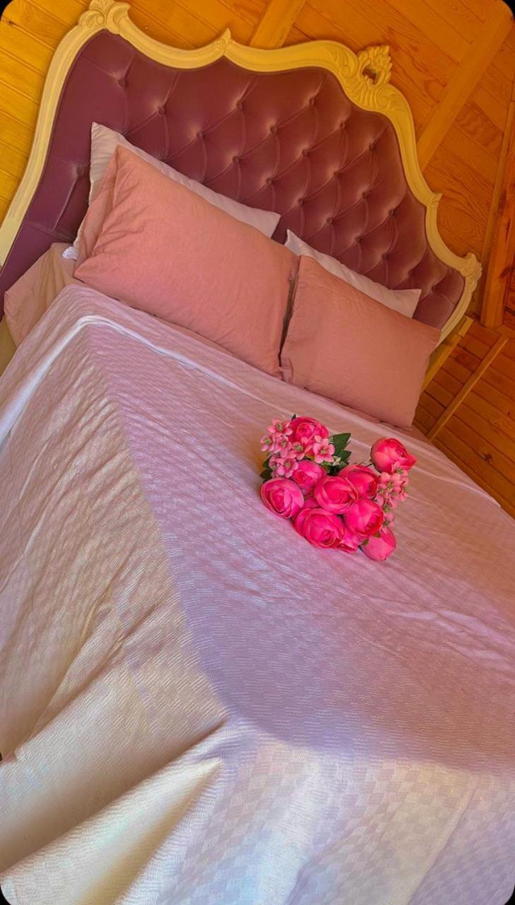 Bed & Breakfast La Bella Bungalow