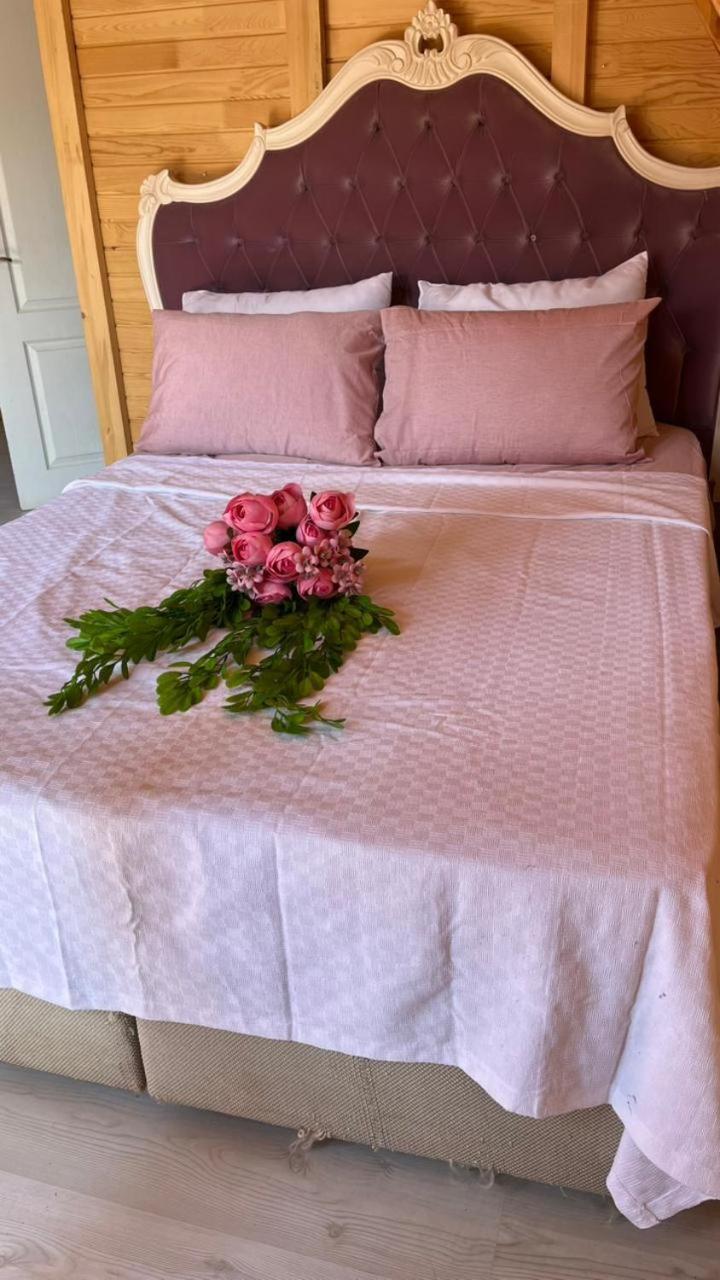 Bed & Breakfast La Bella Bungalow *