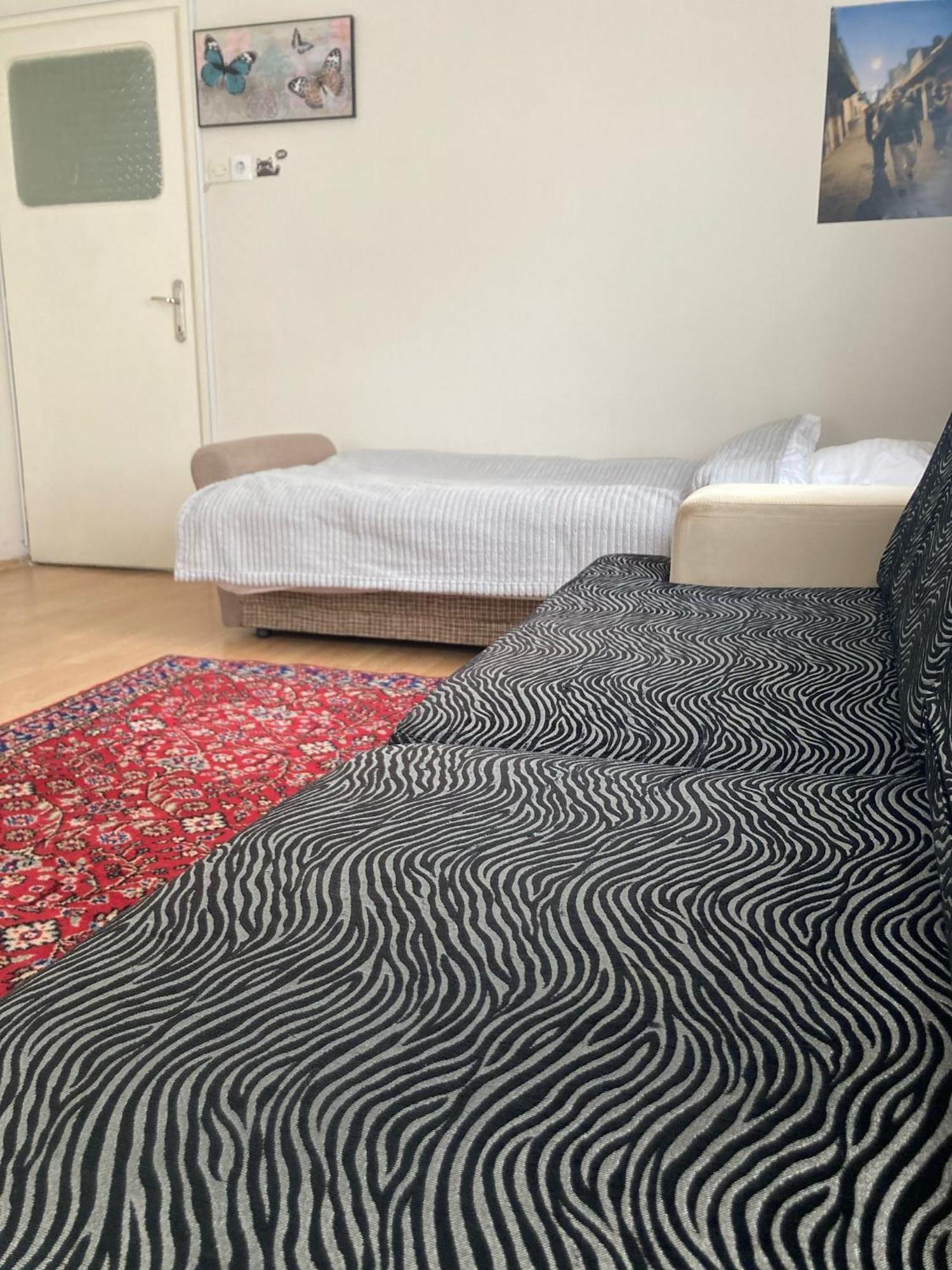 Large And Simple Family House In Center Daire