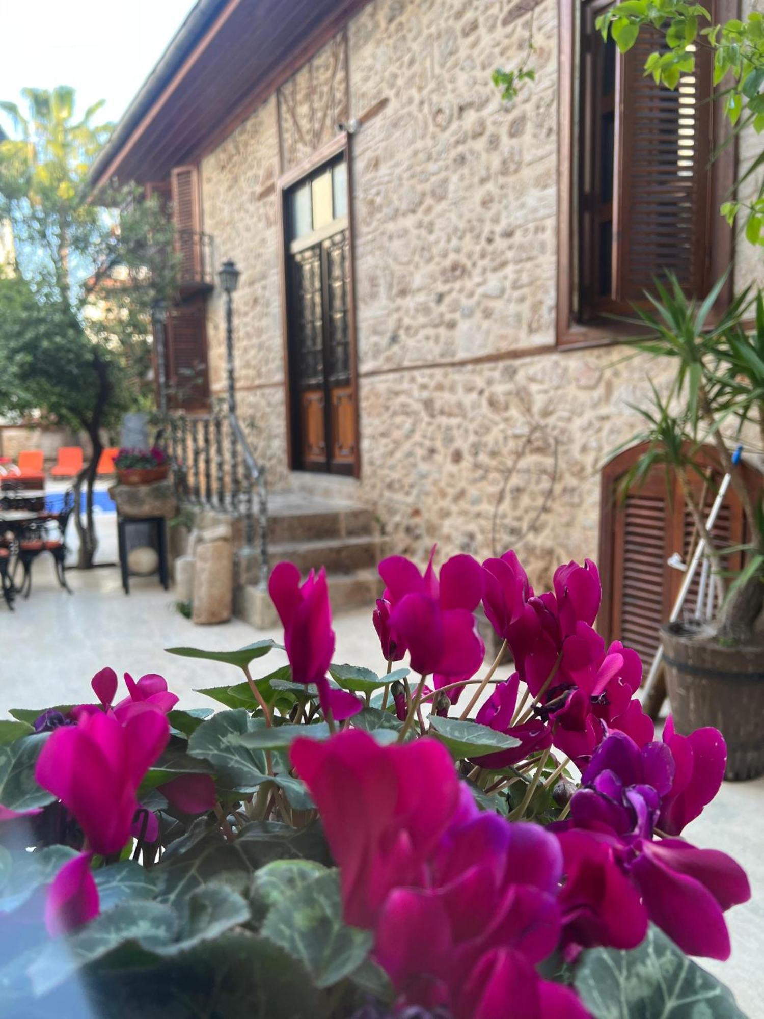 Hotel White Garden Hotel-adult Only