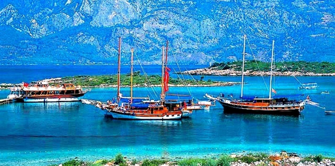 Daire 2033. Sokak *