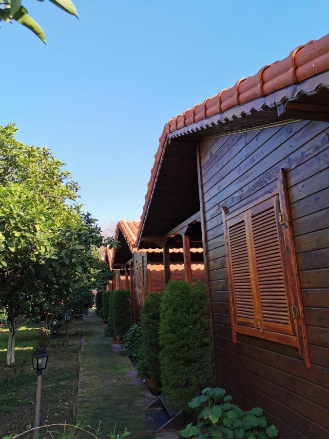 Sahil Pansiyon Bungalow Homestay