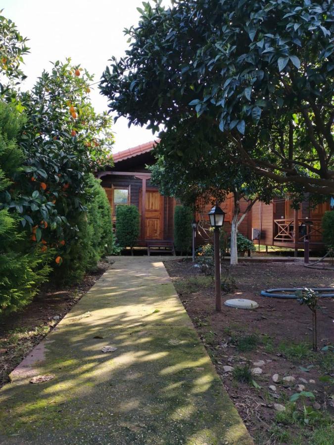 Sahil Pansiyon Bungalow Homestay Antalya