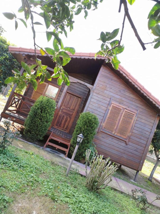 Sahil Pansiyon Bungalow Antalya
