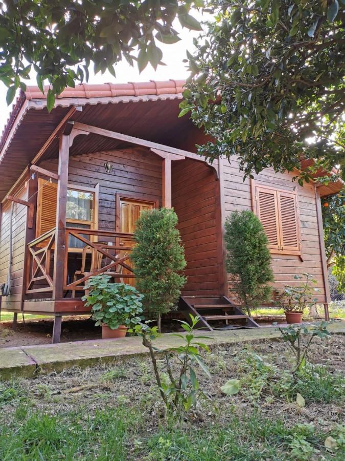 Sahil Pansiyon Bungalow Homestay *